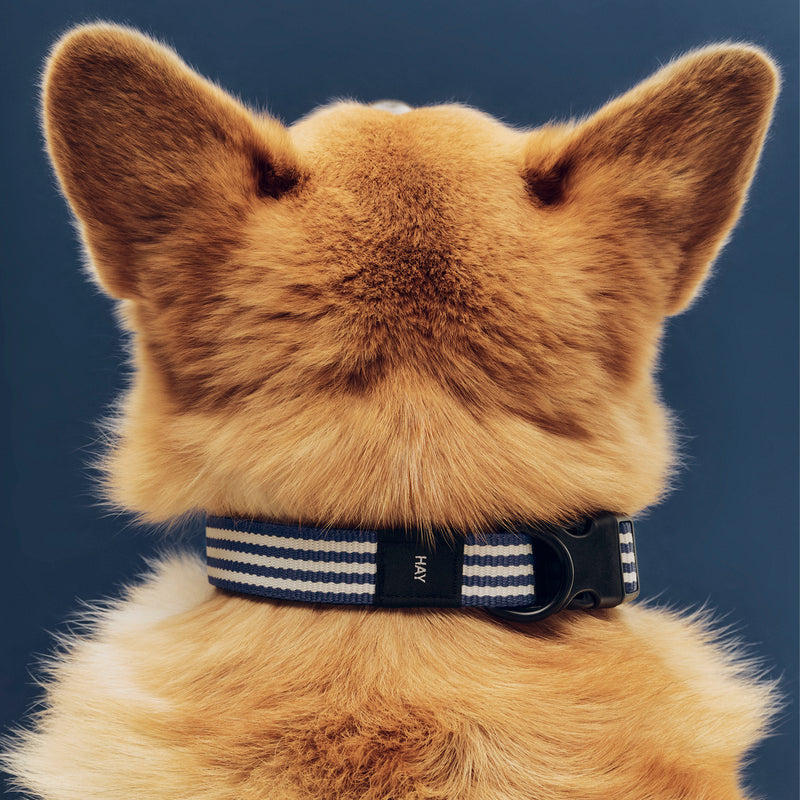 HAY - Dogs Hundehalsband